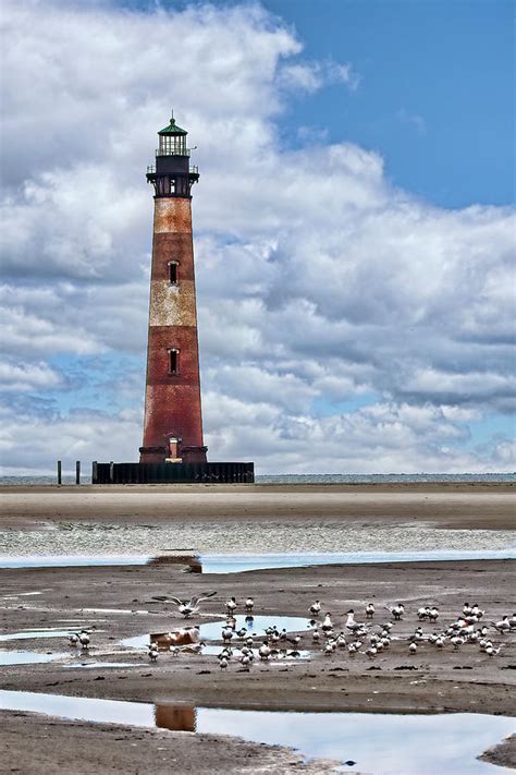 Morris Island Lighthouse At Low Tide Photograph By Marcia Colelli Pixels