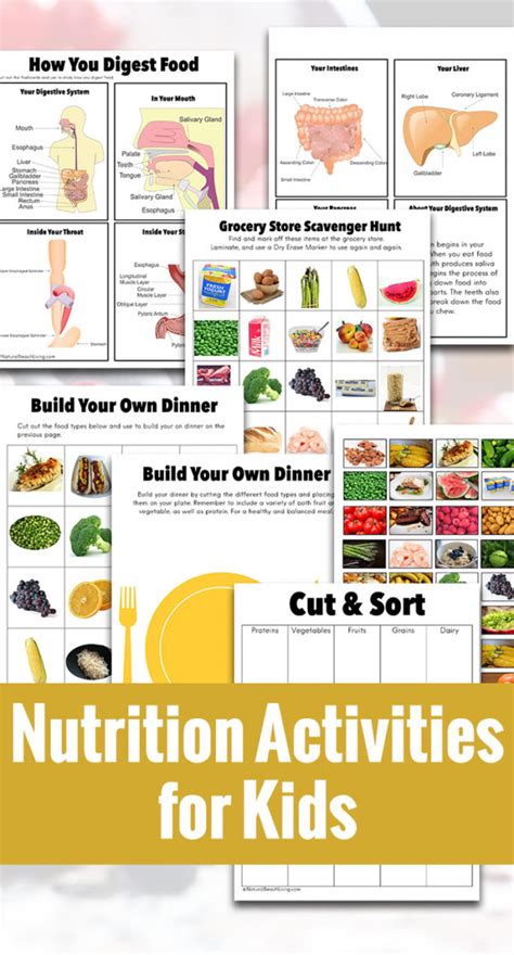 Nutrition Lesson Plans And Activities Natural Beach Living