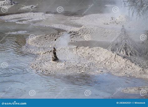 Bubbling Mud Pools Near Rotorua Geothermal Area In New Zealand Stock Image Image Of Outdoors