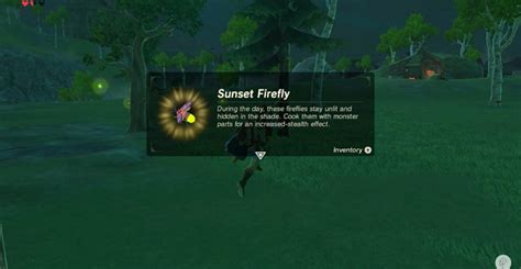 how to catch sunset fireflies in breath of the wild botw sunset firefly farming