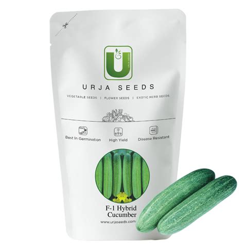 Shop Cucumber Bella F1 Hybrid Seeds Online Urja Seeds