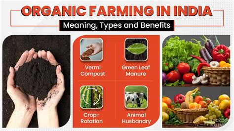 Organic Farming Meaning Types Benefits And Importance