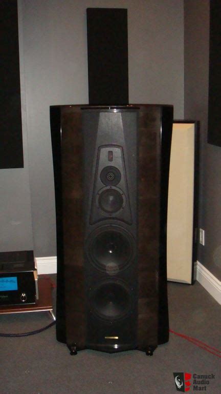 Da rebeccariccobon, 28 novembre, 2017 in riproduzione audio. SONUS FABER STRADIVARI SPEAKERS Photo #606163 - Canuck Audio Mart