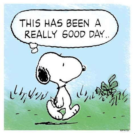 Good Day Snoopy Quotes Snoopy Funny Snoopy