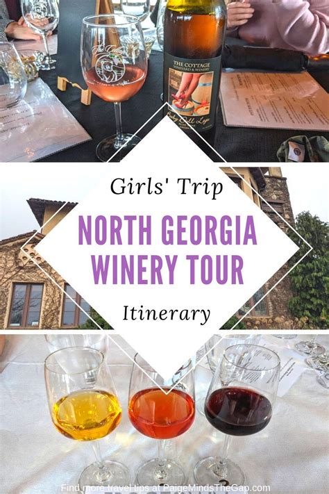 North Georgia Wine Tour From Atlanta Perfect Girls Trip