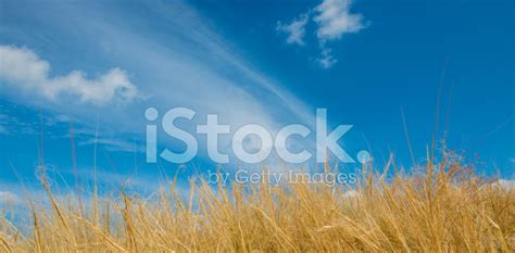 Landscape Stock Photo Royalty Free Freeimages