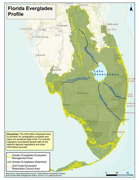Florida Everglades Animal Map