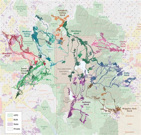 What Drives Yellowstones Massive Elk Migrations Research Uc Berkeley