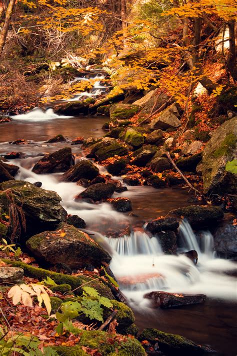 Creek In Fall Free Stock Photo Public Domain Pictures