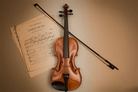 Types Of Violins Beginners Guide Upd 2024