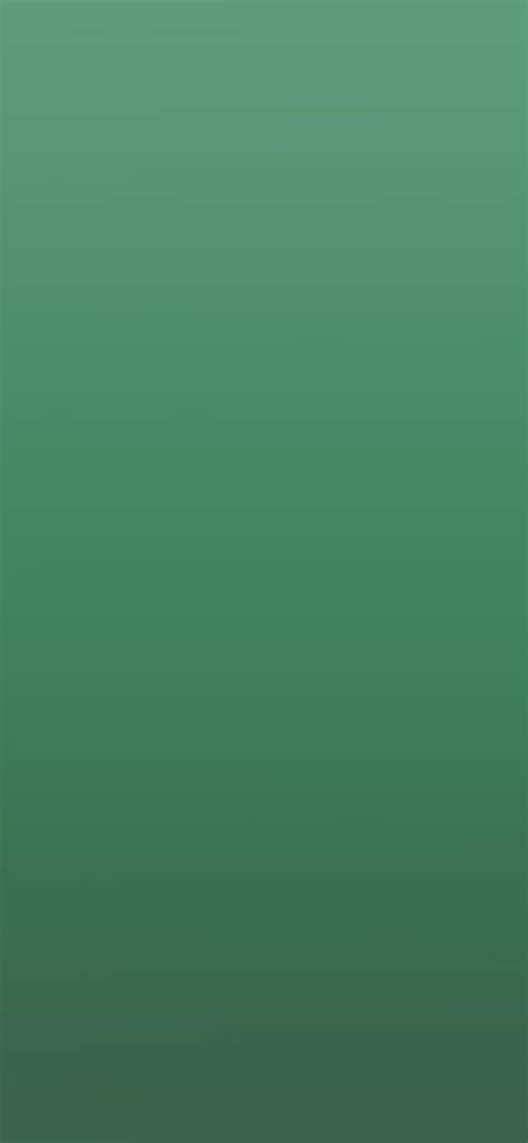 Apple Iphone Wallpaper Si66 Green