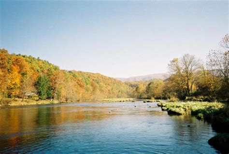 South Holston River Tennessee Trout Pro Store