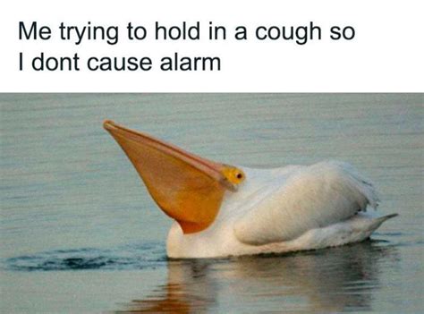 Maybe you would like to learn more about one of these? The Funniest Coronavirus Memes and Jokes - Barnorama