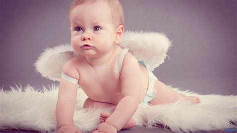 Cute Baby With White Fur Wings In Blur Background Hd Cute Wallpapers