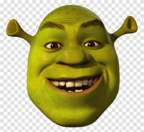 Shrek Meme Dank Mlg Funny Fun Shrek The Third Toy Head Alien Mask