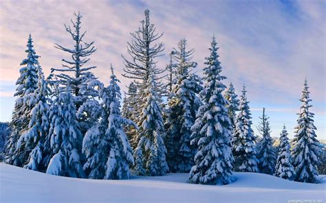 Winter Desktop Wallpapers Top Free Winter Desktop Backgrounds