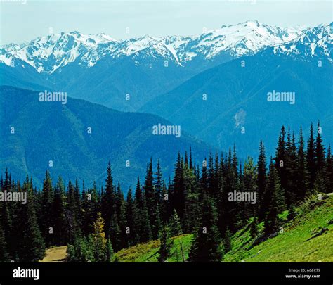 Cascade Mountains In Olympic National Park In Washington State Usa