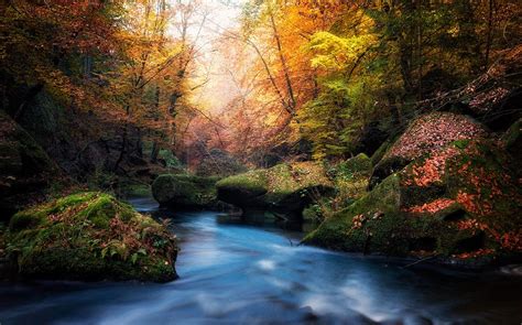 Tapety Slunečnímu Záření Stromy Krajina Barvitý Les Podzim