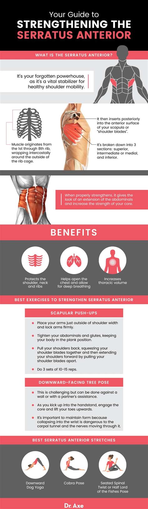 Serratus Anterior Exercises To Strengthen The Top Of Your Abs Dr Axe