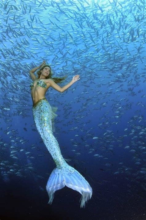 Pin By Nicolette Rocques On Mermaids Real Life Mermaids Beautiful