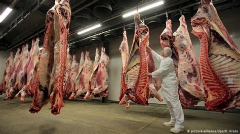 Totuşi, grupurile de persoane sensibile pot experimenta simptome minore până la moderate la expunerea prelungită. Industria cărnii din Renania de Nord-Westfalia, obligată ...