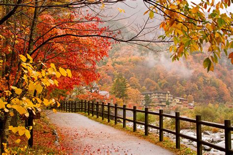 Capture The Beauty Of Fall With These Photography Tips London Drugs Blog