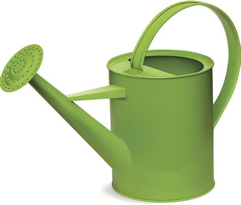 Watering Can Illustrations Royalty Free Vector Graphics And Clip Art Istock