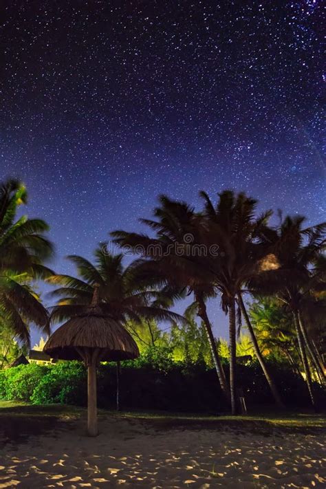 Starry Night On The Shore Of The Tropical Sea Stock Photo Image Of