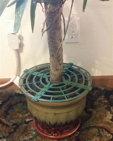 Readers, what steps have you taken to keep pets out of your christmas tree? Christmas Tree Defender | Protecting our loved pets and ...