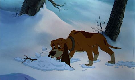 Copper ~ The Fox And The Hound 1981 The Fox And The Hound Disney