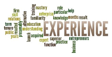 Experience - In Rem Solutions, Inc.