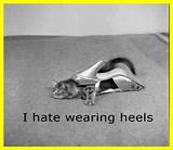 Pictures of Quotes About Kitten Heels