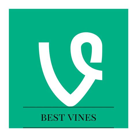 Best Vines Bestvines6pm Twitter