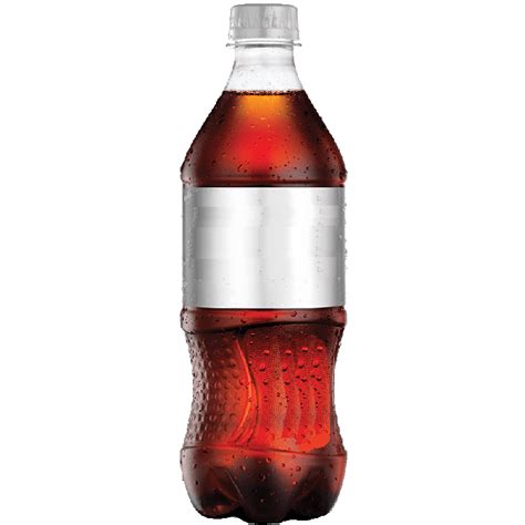Diet Coke 16 Oz Stash Bottle