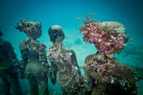 Diving The Molinere Underwater Sculpture Park Scuba Diver Life