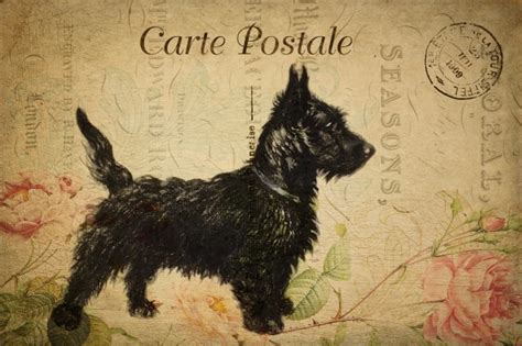 Dog Vintage Floral Postcard Free Stock Photo Public