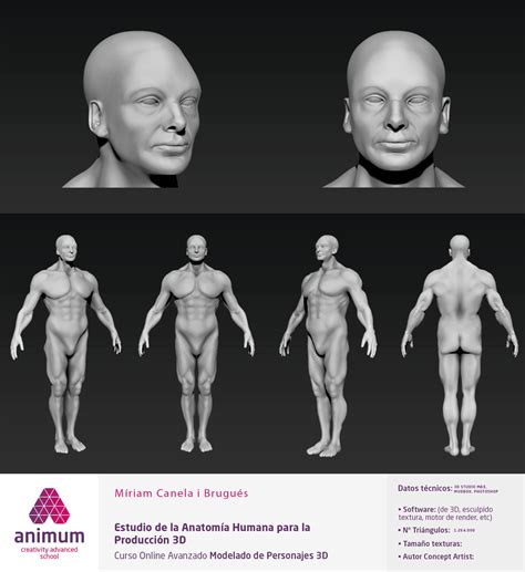 anatomÍa humana modelo 3d preparado para producción y animación esculpido en mudbox