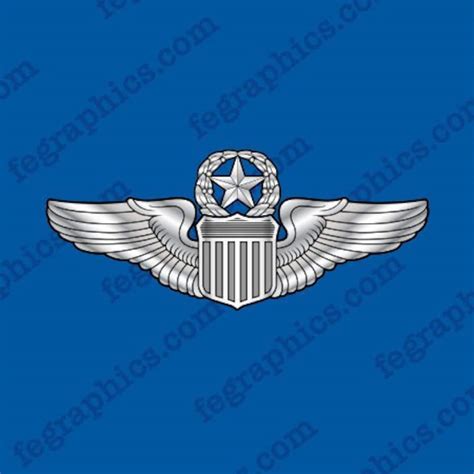 Pilot Wings Decal Command Usaf Full Color Pilot Badge Etsy