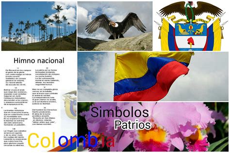 SÍmbolos Patrios De Colombia History Quiz Quizizz