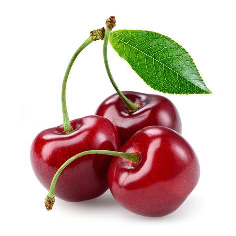 Fruit Layer Sour Cherry