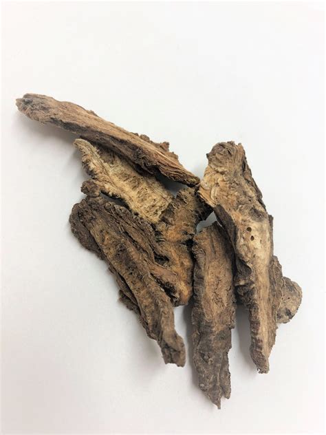 Qiang Huo Notopterygium Rhizome And Root Rhizoma Et Radix