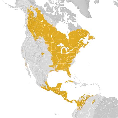 Tennessee Warbler Range Map Post Breeding Migration Ebird Status
