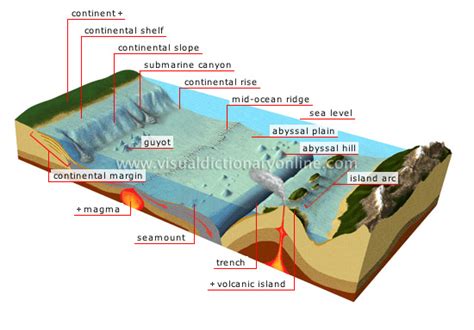 Features Of The Ocean Floor Diagram Diagram For You