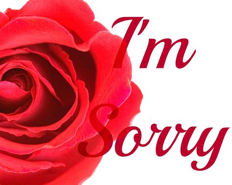 We did not find results for: CJO Photo: I'm Sorry - Page 1