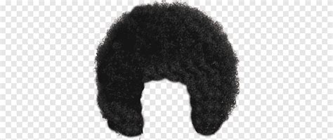 afro wig afro wig hair hair black hair people png pngegg