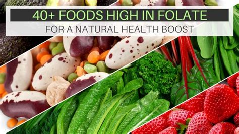 43 Foods High In Folate Amount Of Folateserving Wholesome Children