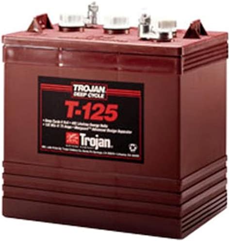 Best Trojan 6 Volt Rv Batteries Reviews January2024