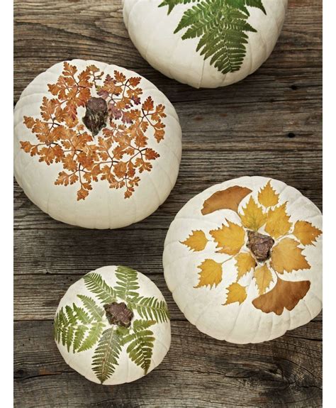 Decopauge Fall Foliage On White Pumpkins Nature Inspired