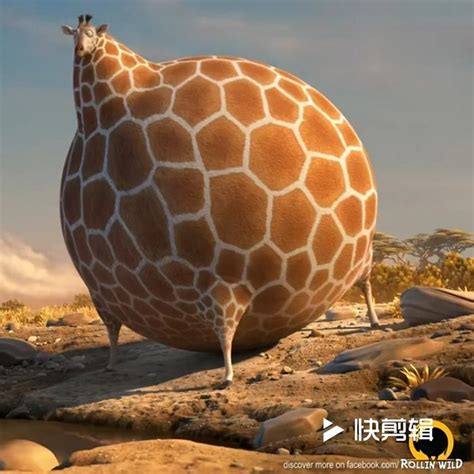 Best giraffe wallpaper, desktop background for any computer, laptop, tablet and phone. Pin on ANIMALS | Wallpaper Engine Wallpapers