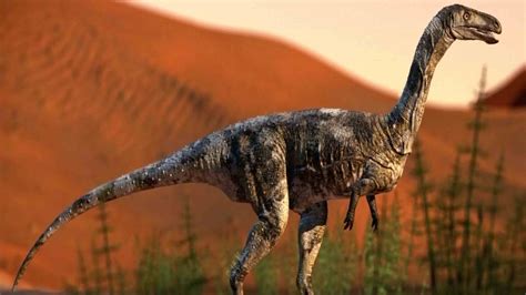 Desert Dwelling Carnivorous Dinosaur Found In Brazil Cgtn